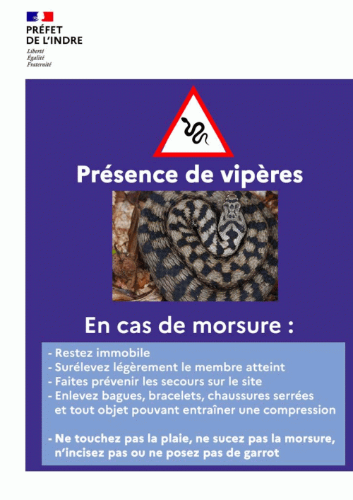 Flyer_fr_en.gif