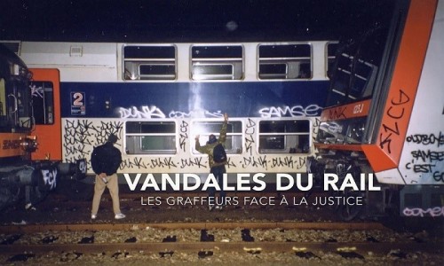 vandal.jpg