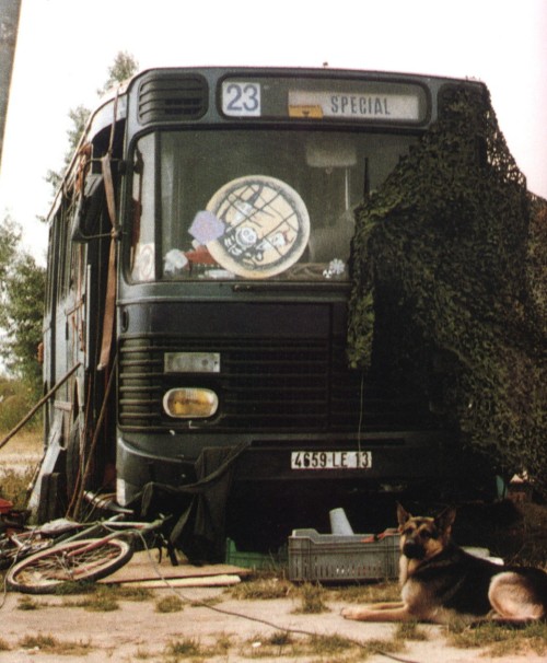 Zoulou-et-le-bus.jpg